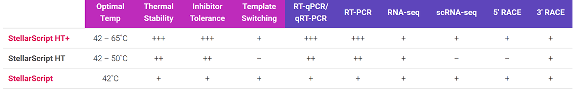 StellarScript range 1200
